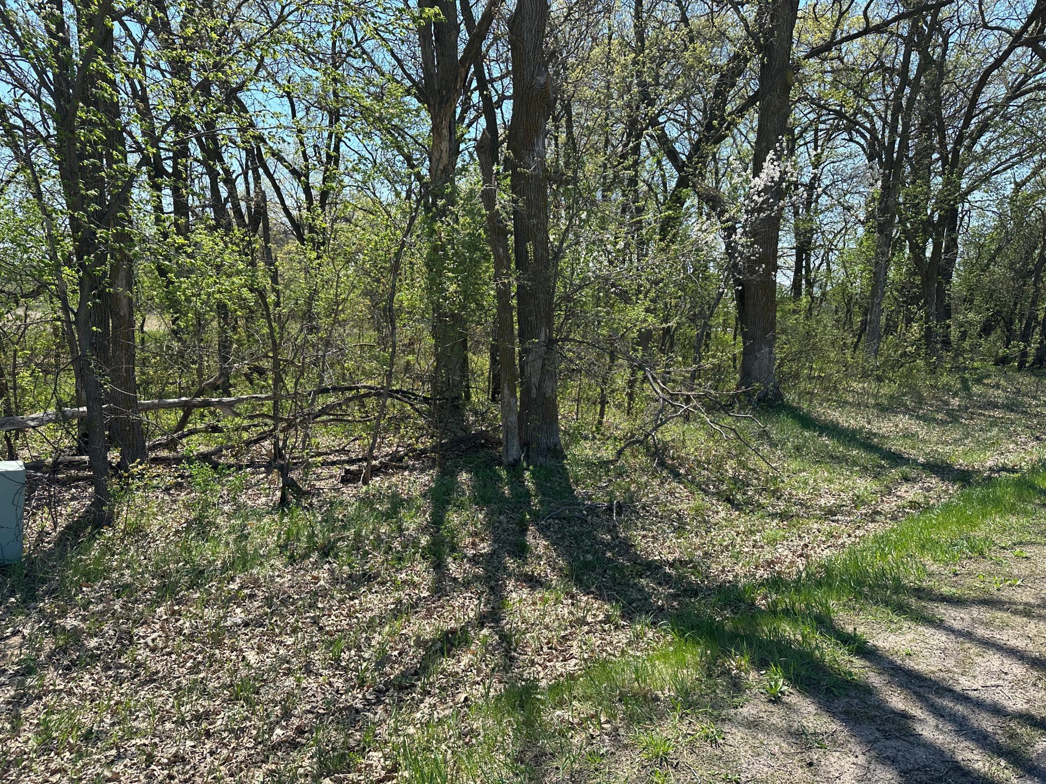 XXX 309th Avenue, Princeton, Minnesota image 2