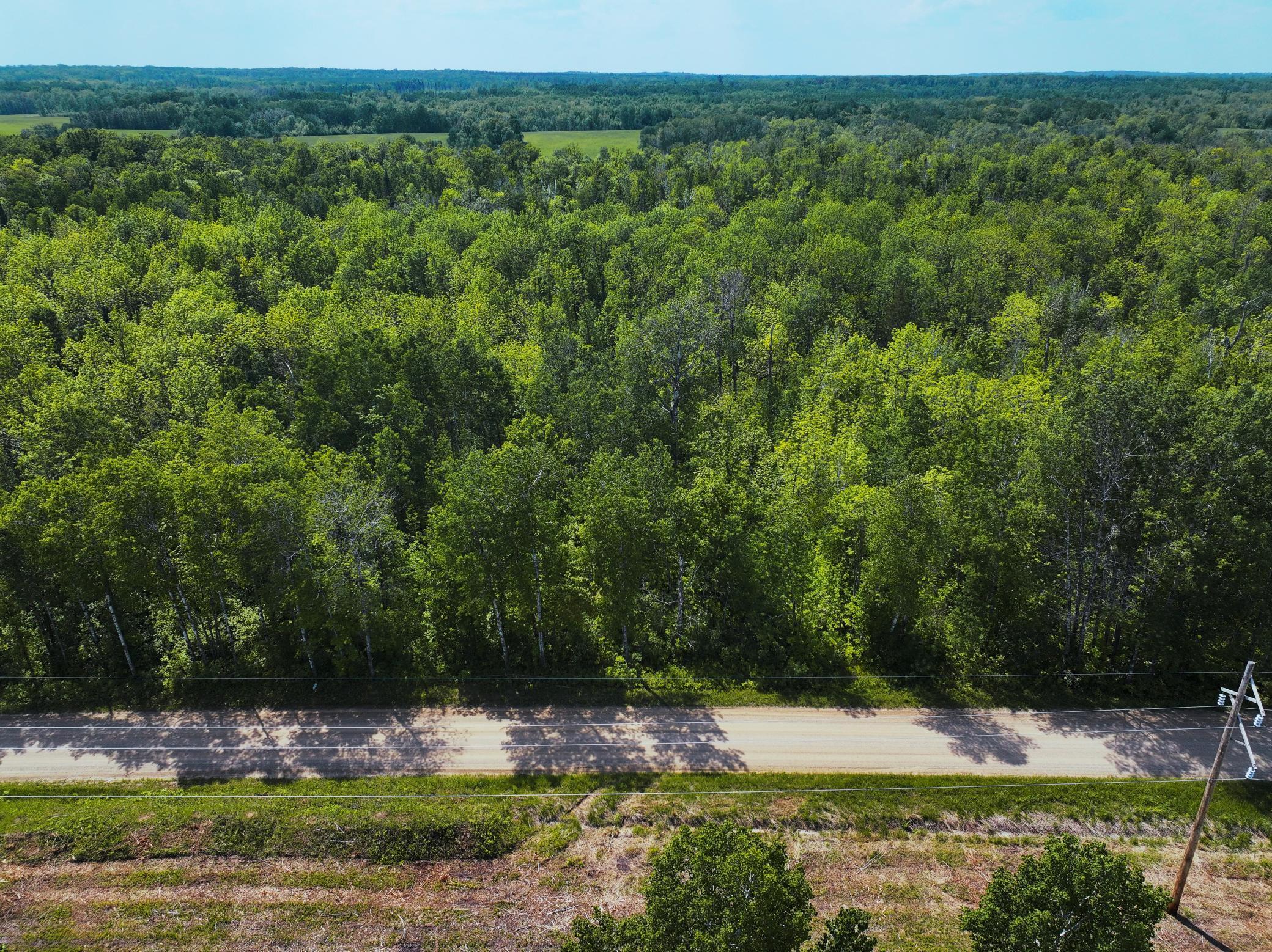 TBD County 52, Remer, Minnesota image 6