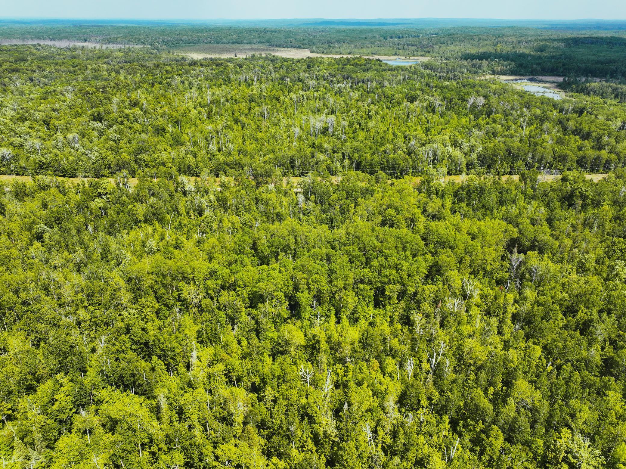 TBD County 52, Remer, Minnesota image 4
