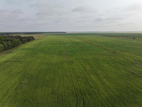 Vacant Land For Sale - 390TH 390th St Nw<br/> Marshall County, Stephen, MN 56757