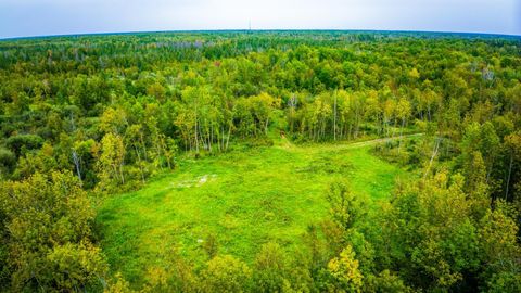 Vacant Land For Sale - 12479 Battle Road<br/> Blackduck, MN 56630