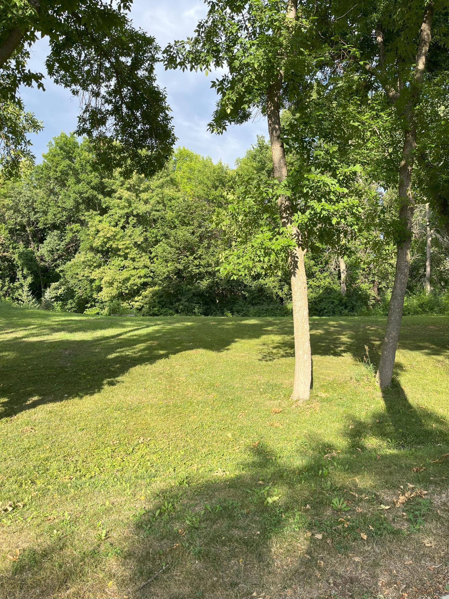 8200 Walnut Grove Lane, Maple Grove, Minnesota image 3