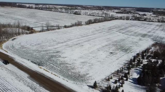 XX Homestead Road, Nelson, Minnesota image 5