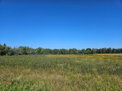 Vacant Land For Sale - XXXX 313th Avenue<br/> Princeton, MN 55371