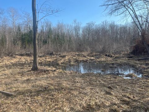 Vacant Land For Sale - 24478 Wooded Circle<br/> Finlayson, MN 55735