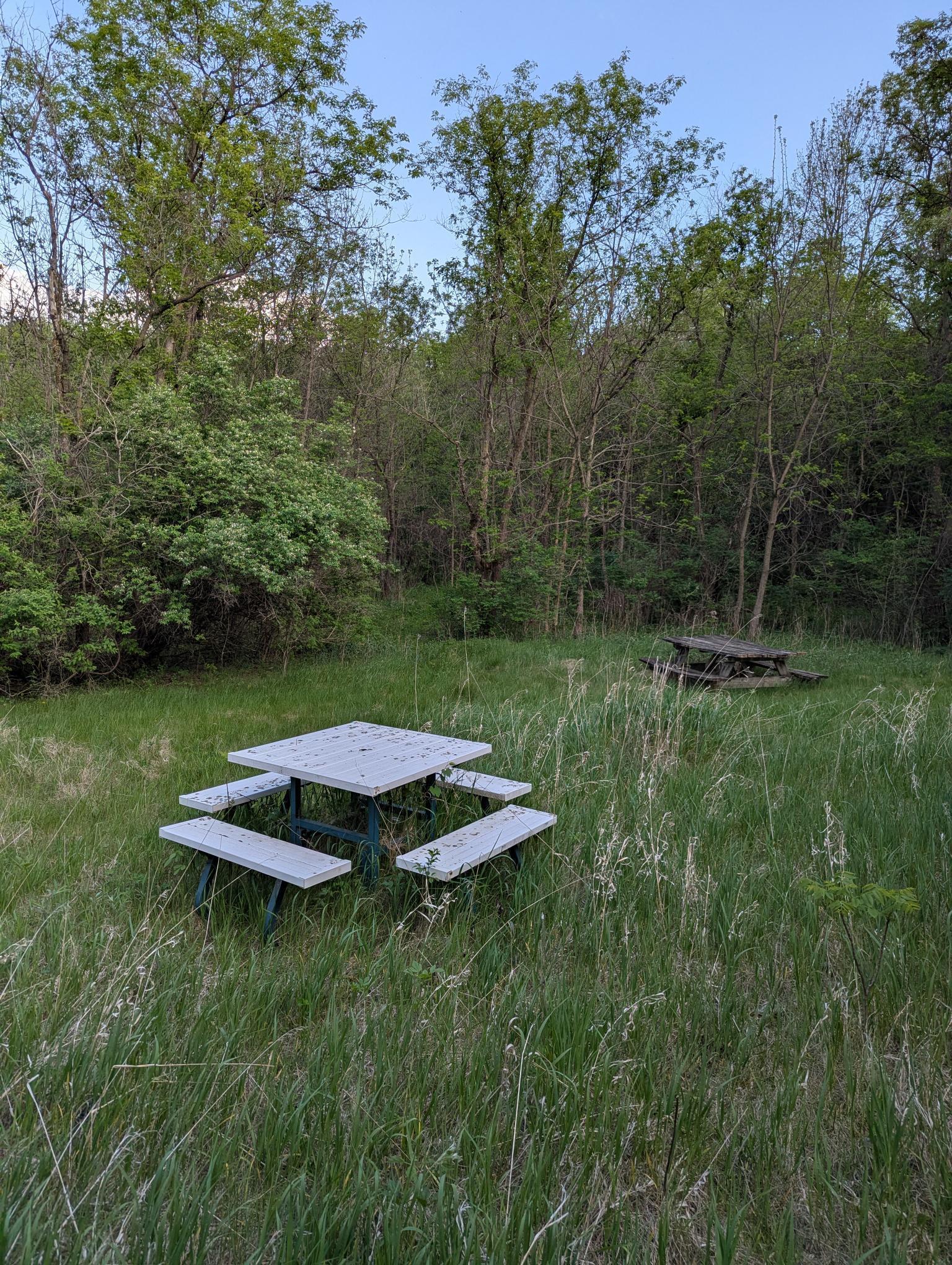 XXX W 220th Street, Jordan, Minnesota image 19