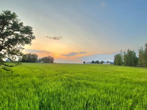 Vacant Land For Sale - XXX Frenzel Drive<br/> Sibley County, Arlington, MN 55307