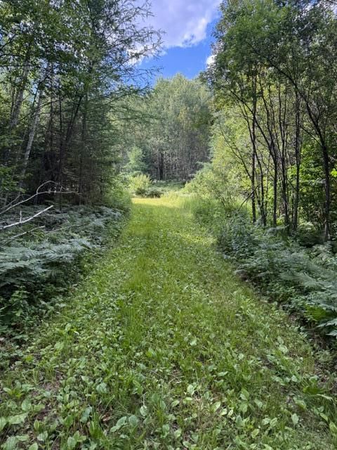 Vacant Land For Sale - TBD N Moose Lake Road<br/> Beltrami County, Pennington, MN 56663