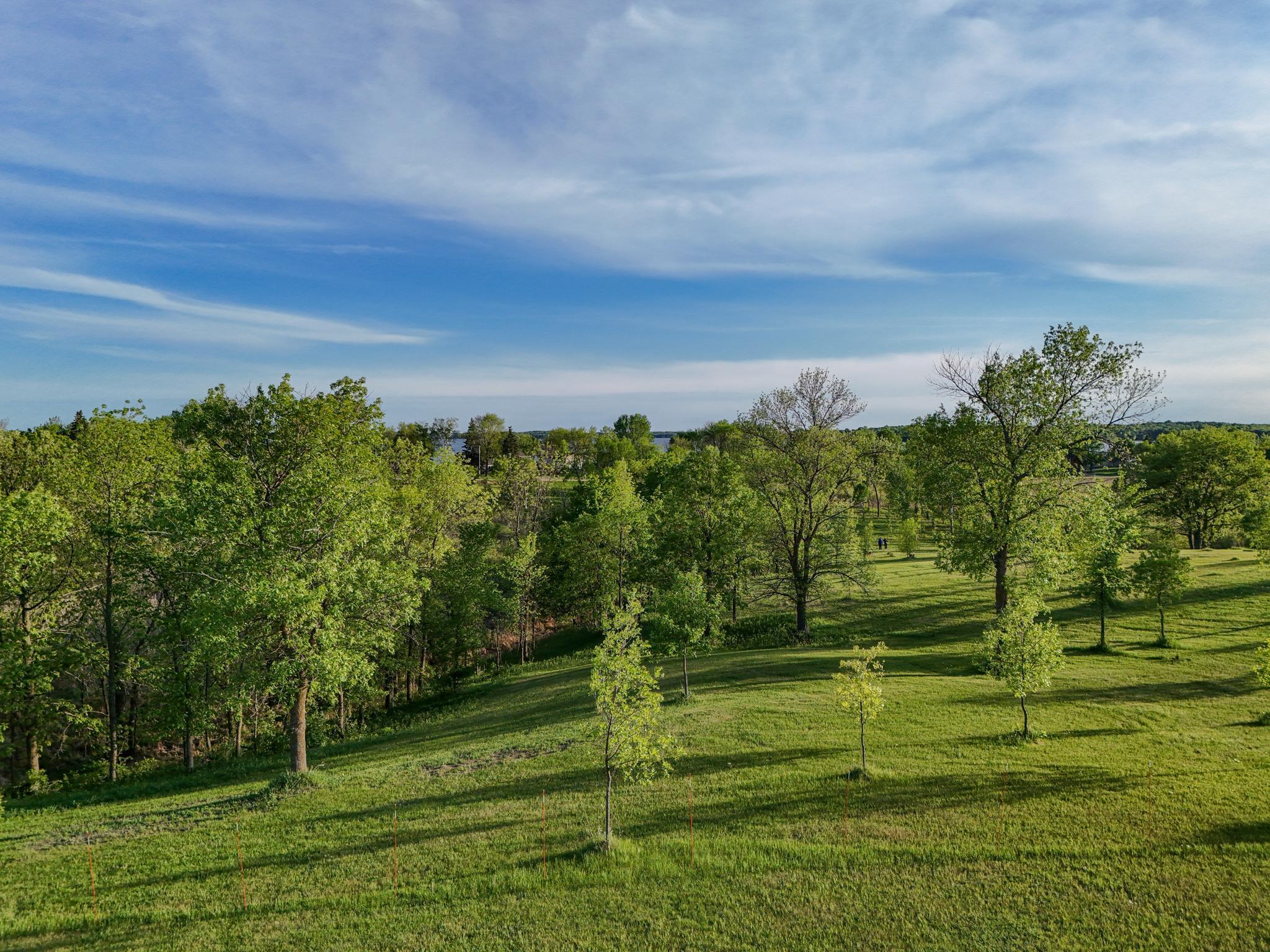 329XX E Rosewood Trl, Dent, Minnesota image 4