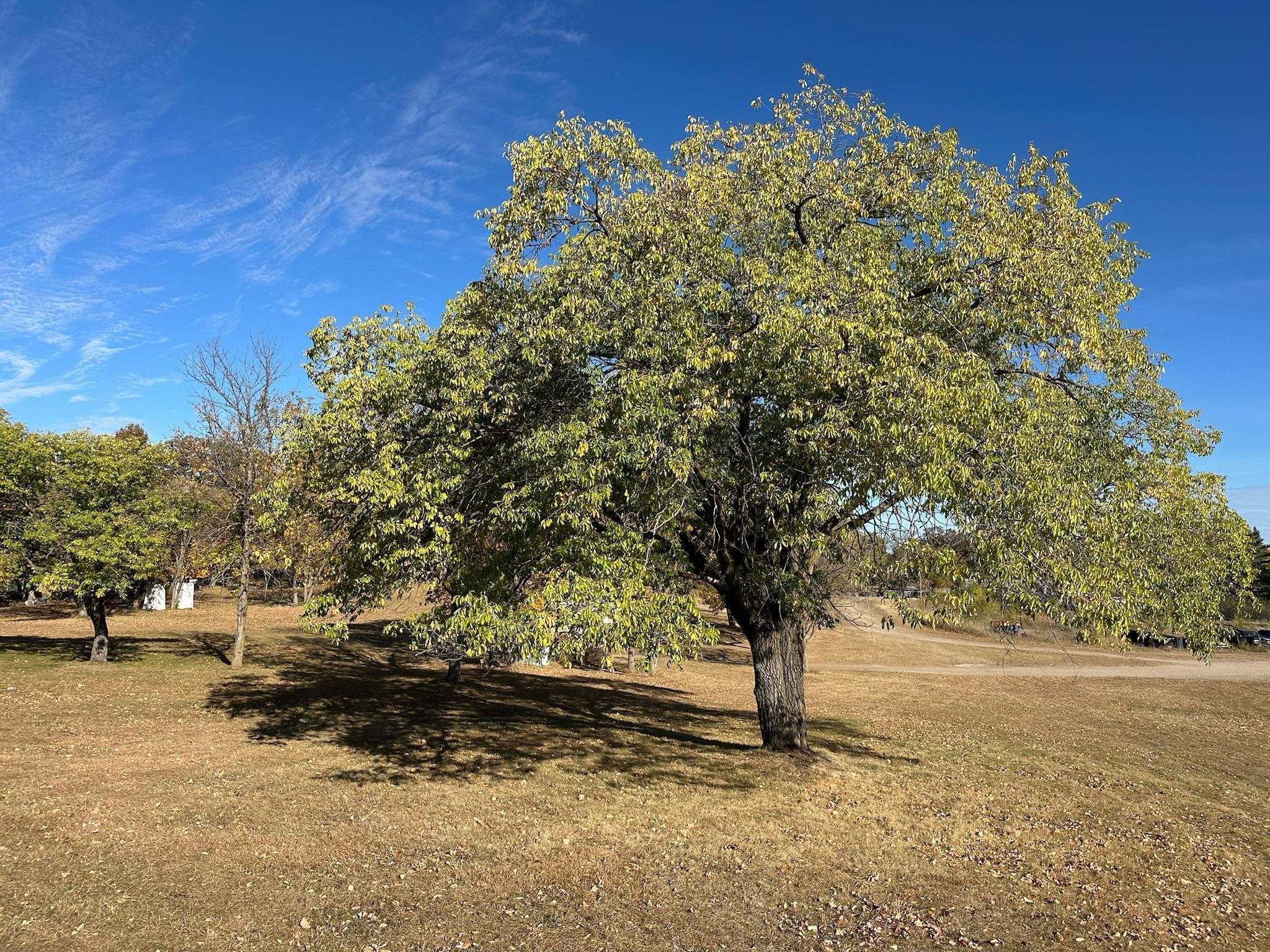 1845 Nodaway Drive, Detroit Lakes, Minnesota image 7