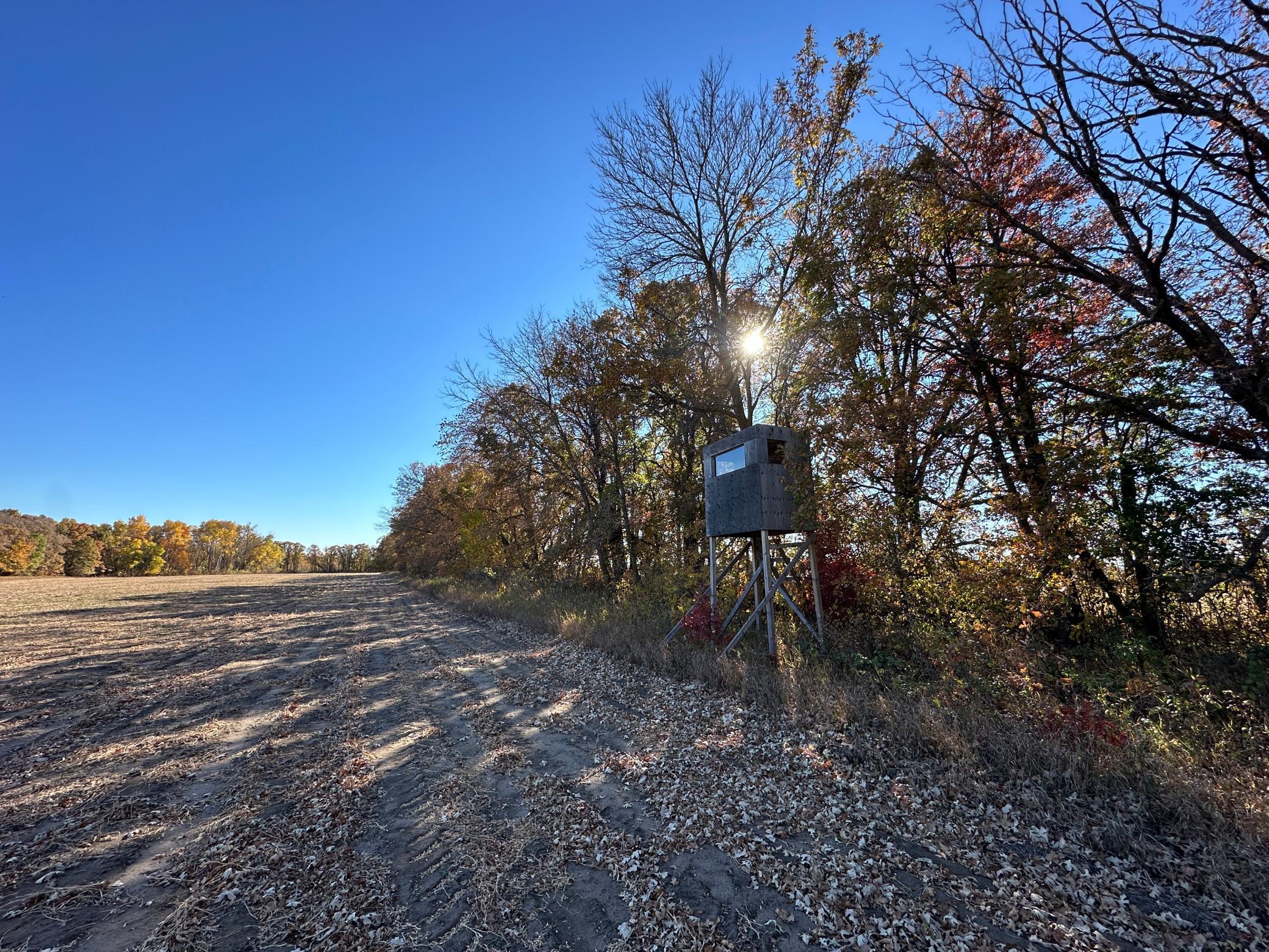 TBDx 150th Street, Verndale, Minnesota image 1