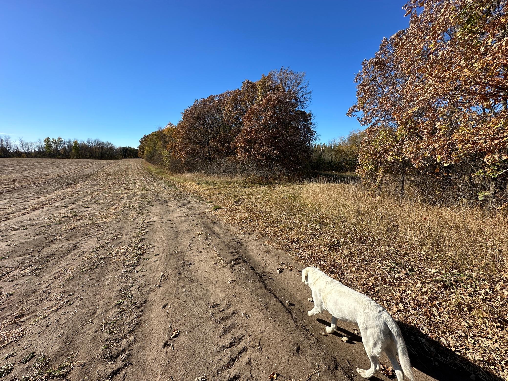 TBDx 150th Street, Verndale, Minnesota image 16