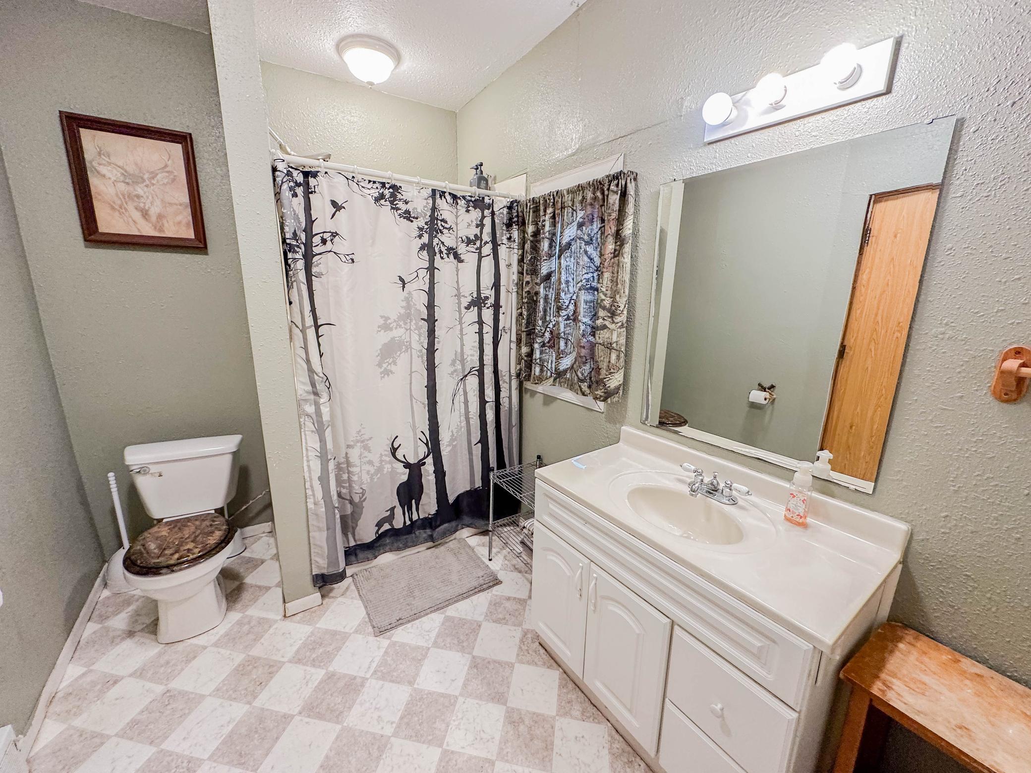 705 E Depue Avenue, Olivia, Minnesota image 9