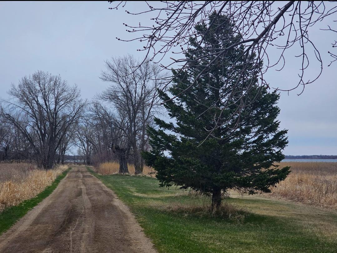 Lot  21 Hummingbird Lane, Alexandria, Minnesota image 5