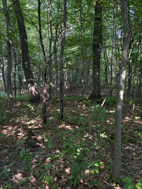 Vacant Land For Sale - TBD 366th Street<br/> North Branch, MN 55056
