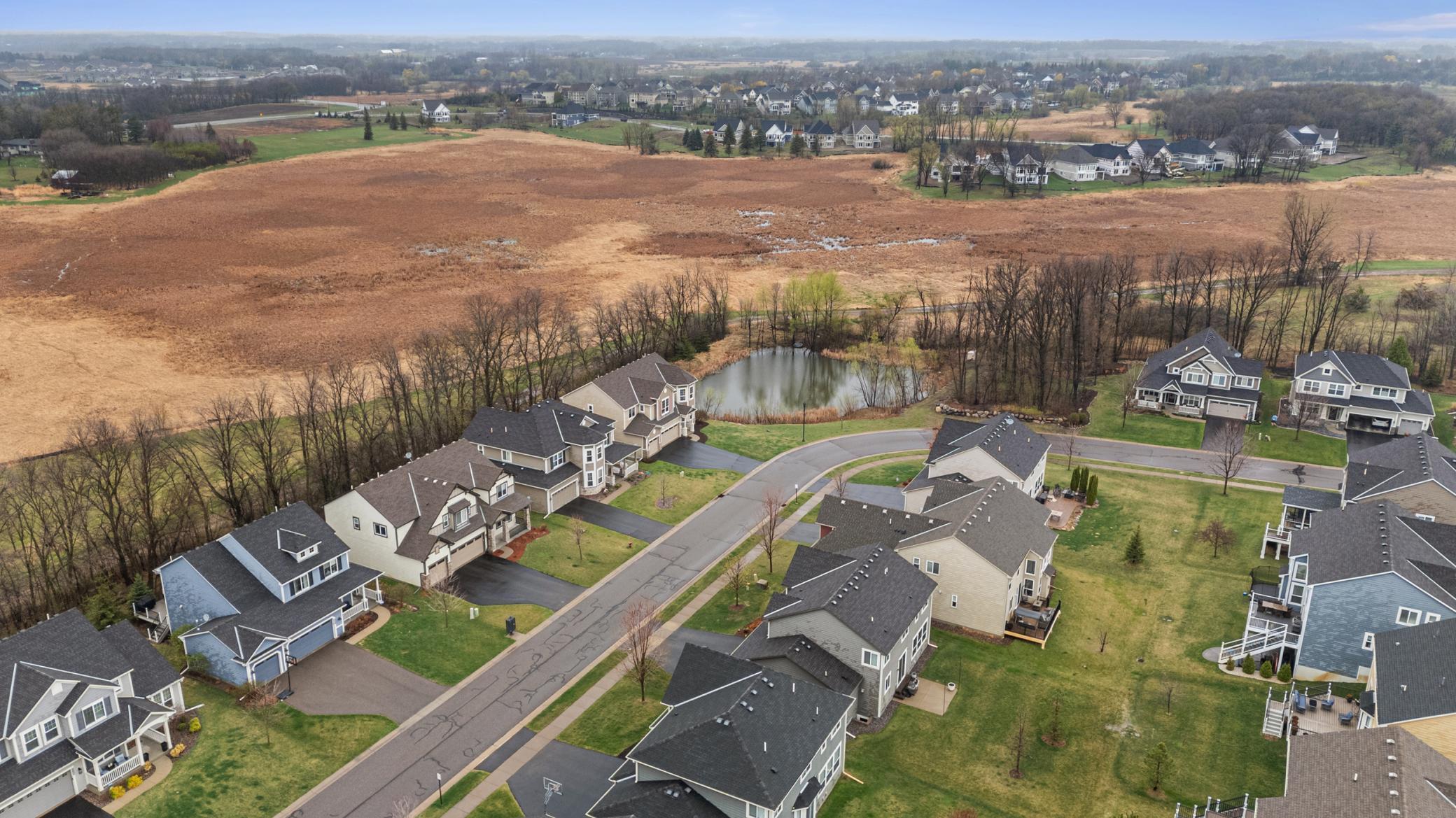4139 Cavanaugh Drive, Hamel, Minnesota image 35
