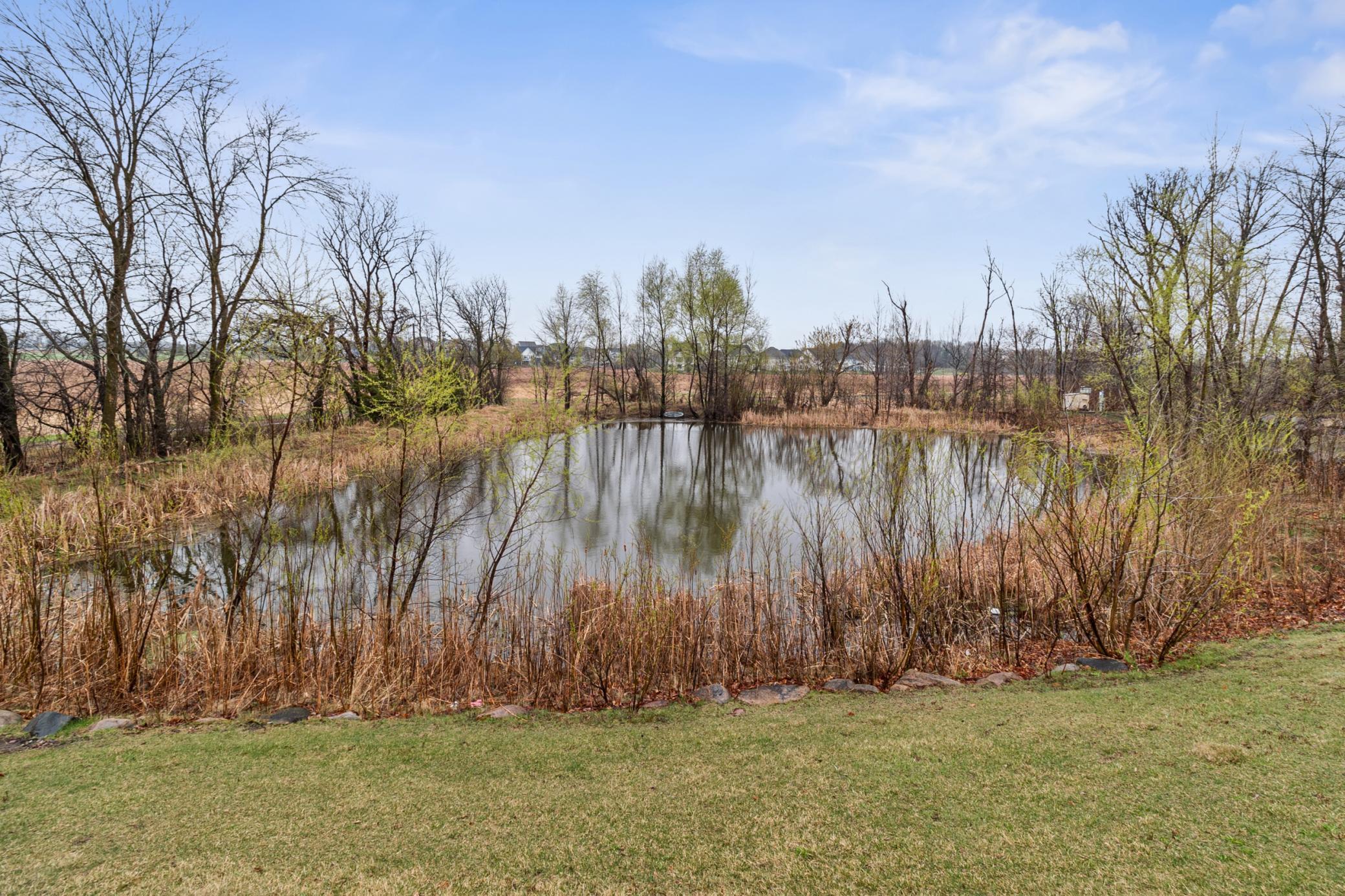 4139 Cavanaugh Drive, Hamel, Minnesota image 30