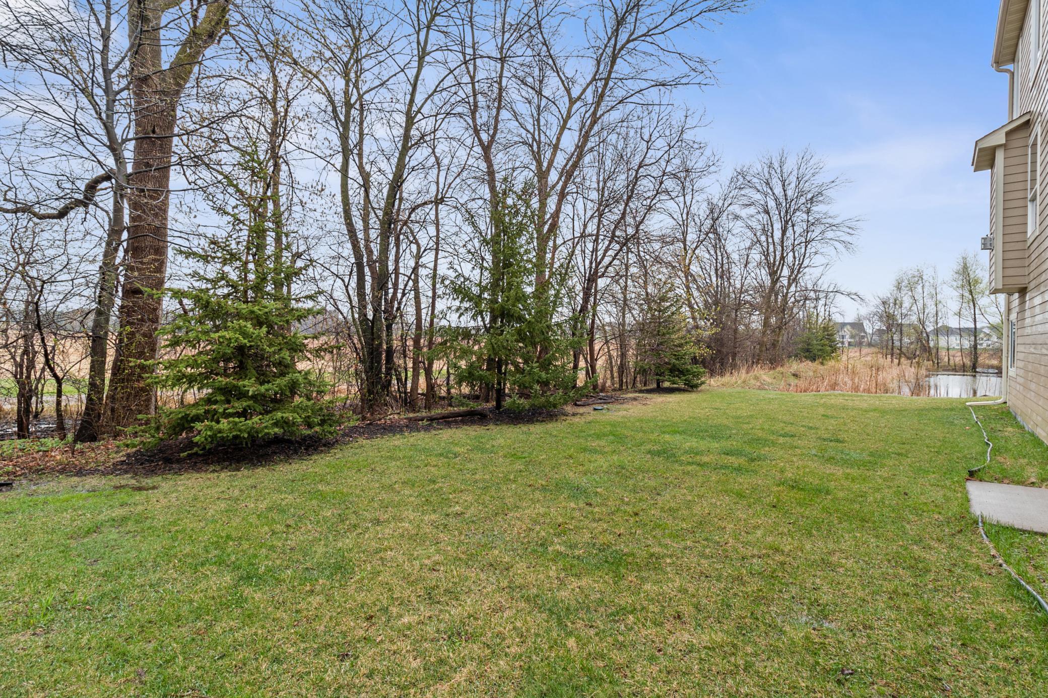 4139 Cavanaugh Drive, Hamel, Minnesota image 29