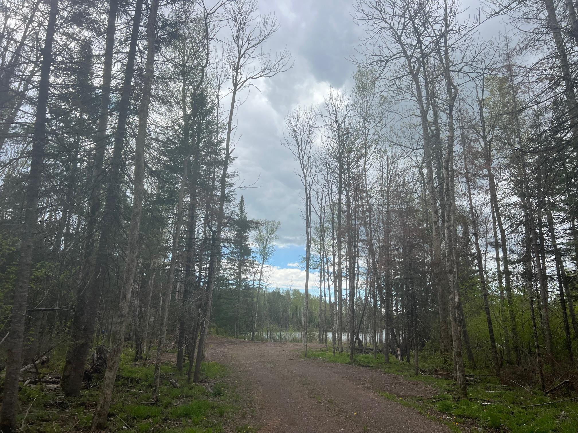 TBD E Briar Lake Drive, Duluth, Minnesota image 14