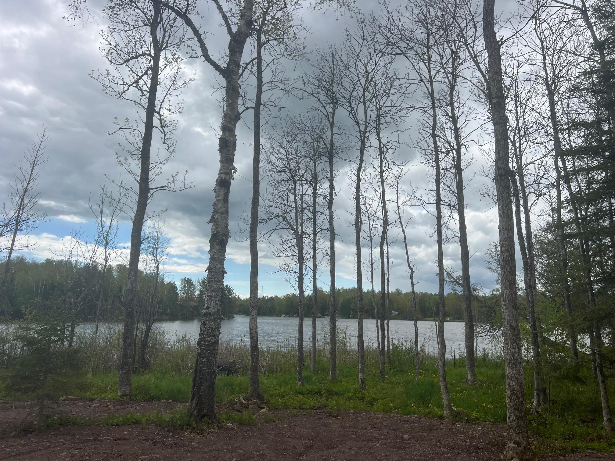 TBD E Briar Lake Drive, Duluth, Minnesota image 13