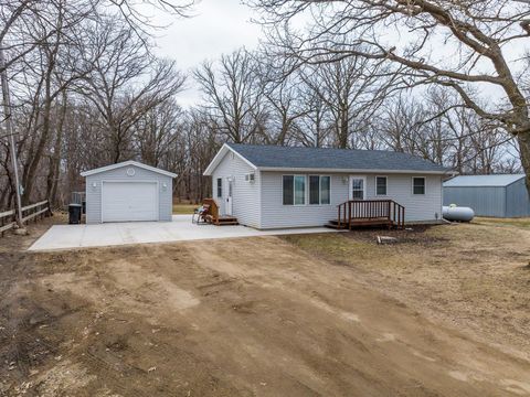 Homes For Sale - 33853 170th Street<br/> Todd County, Burtrum, MN 56318