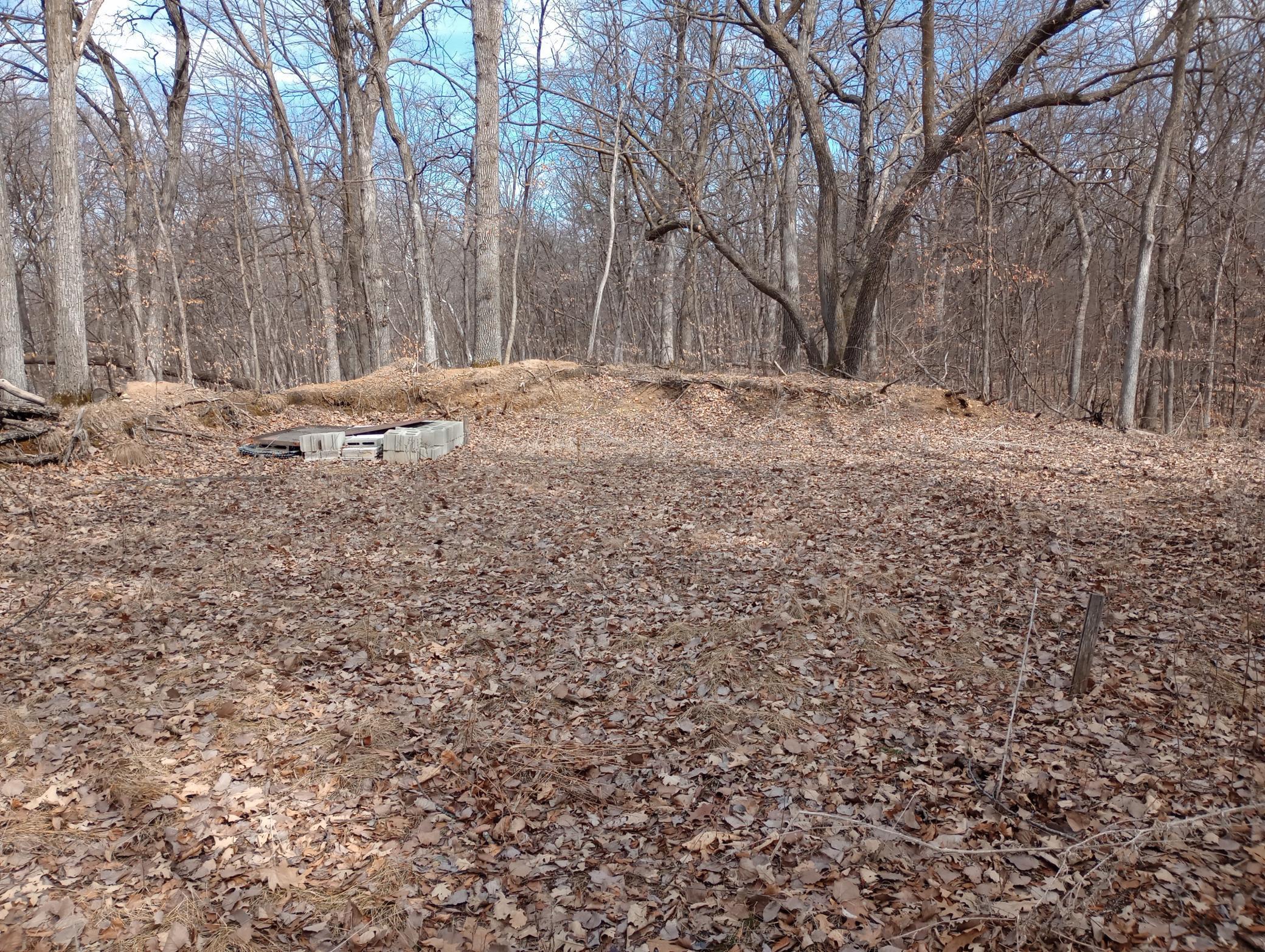 3 Pine Island Pt Drive, Browerville, Minnesota image 3