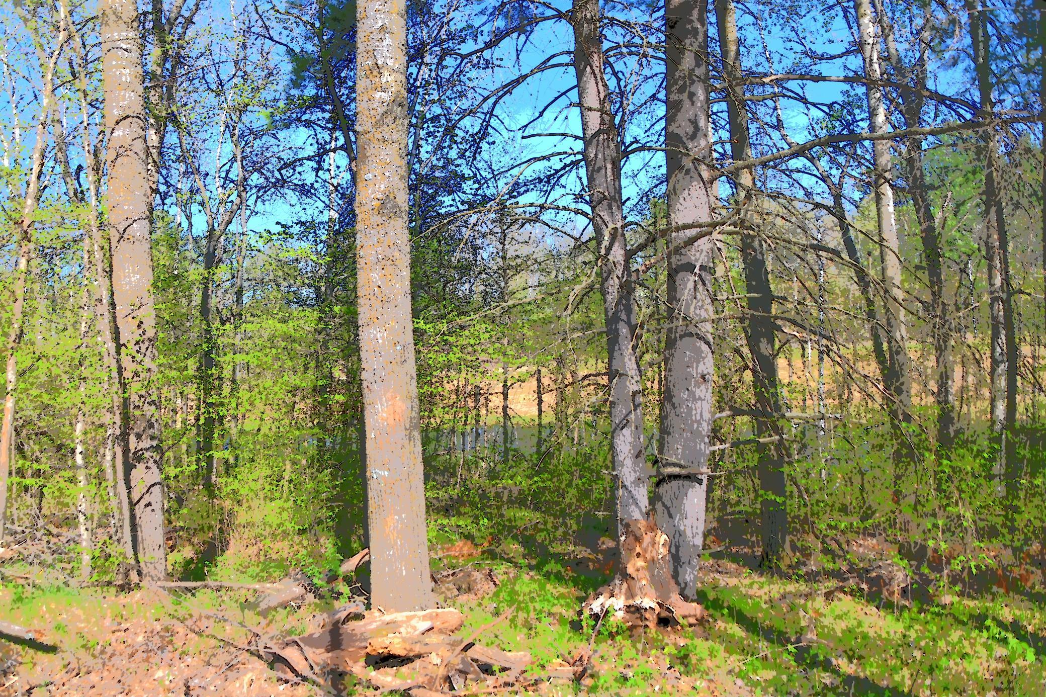 3 Pine Island Pt Drive, Browerville, Minnesota image 7