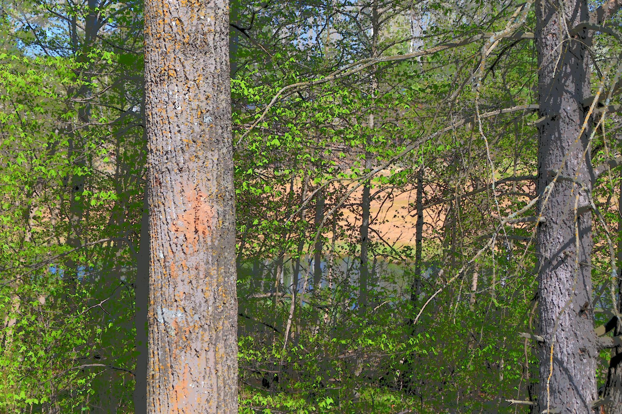 3 Pine Island Pt Drive, Browerville, Minnesota image 8