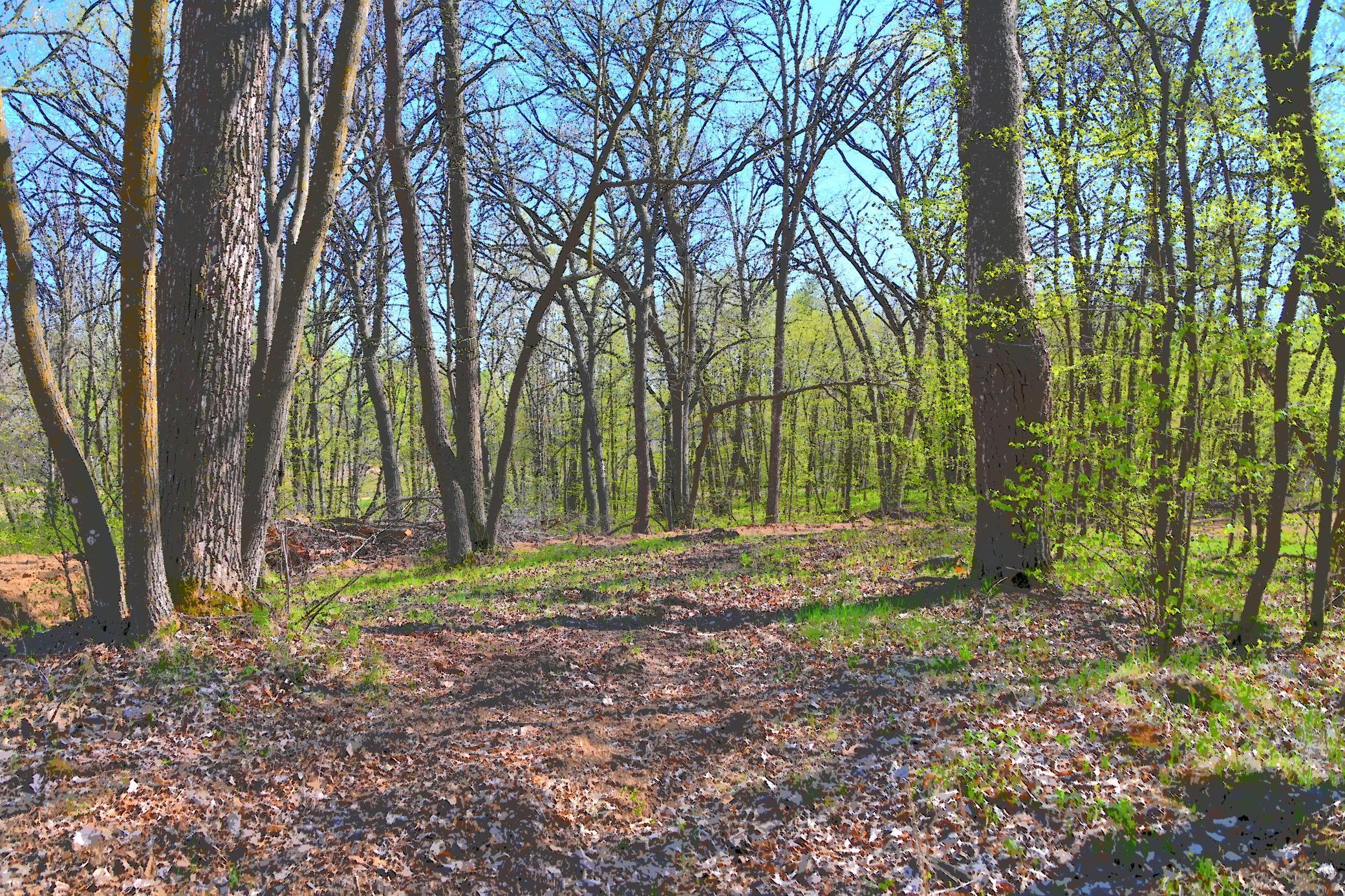 3 Pine Island Pt Drive, Browerville, Minnesota image 6