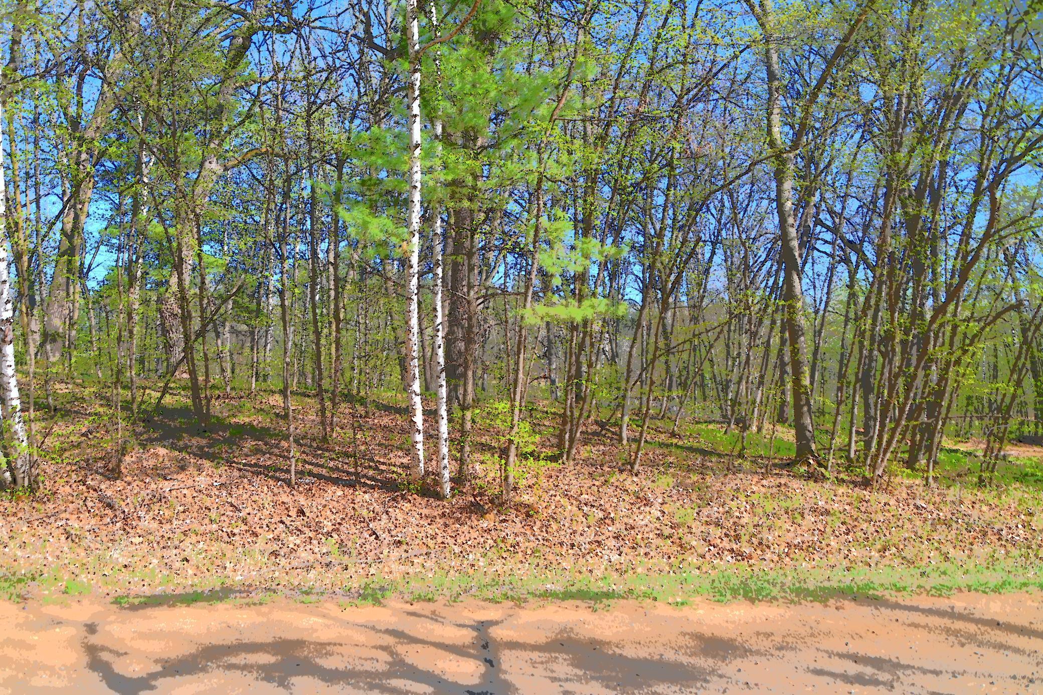 3 Pine Island Pt Drive, Browerville, Minnesota image 10
