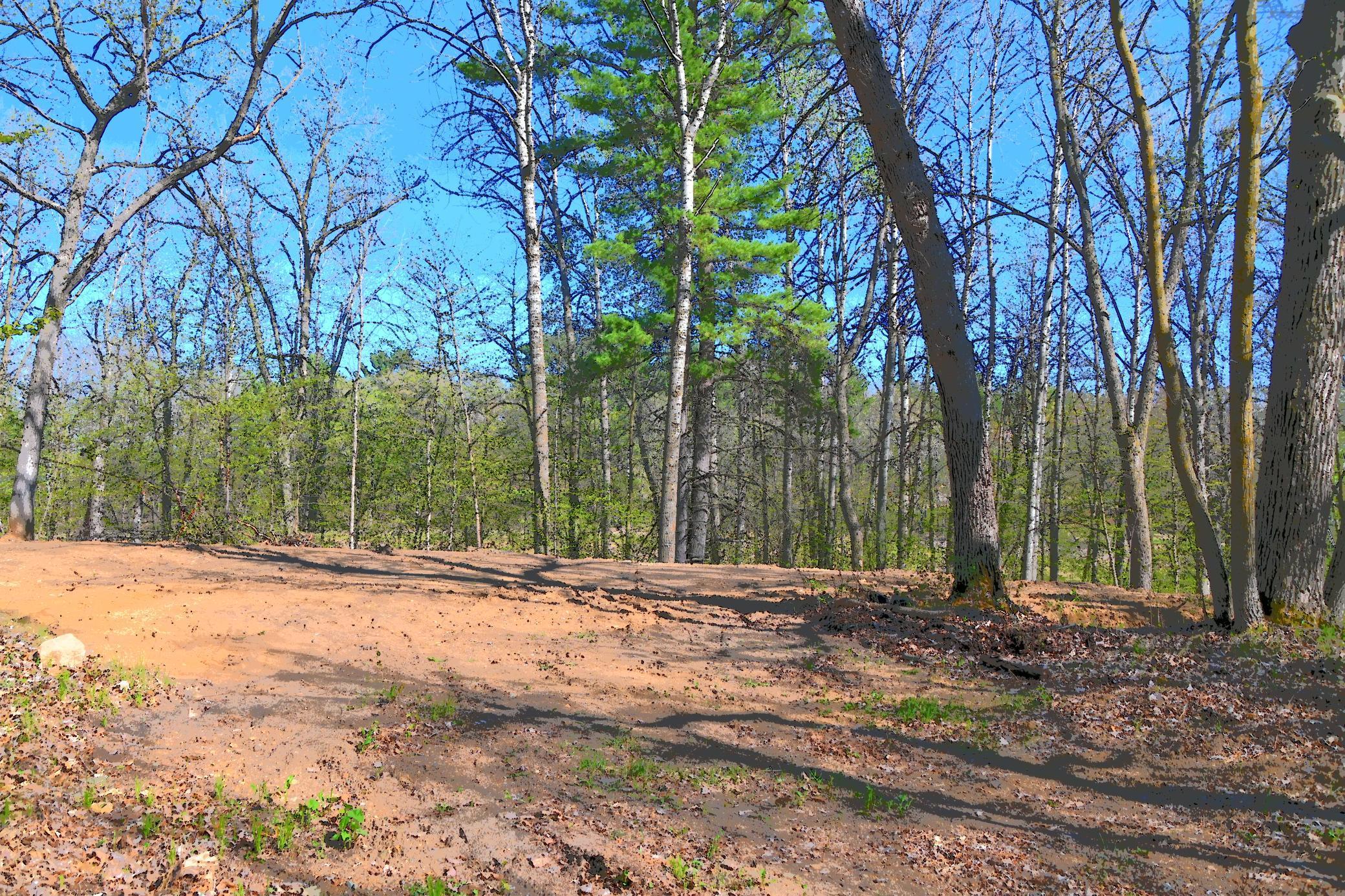 3 Pine Island Pt Drive, Browerville, Minnesota image 4