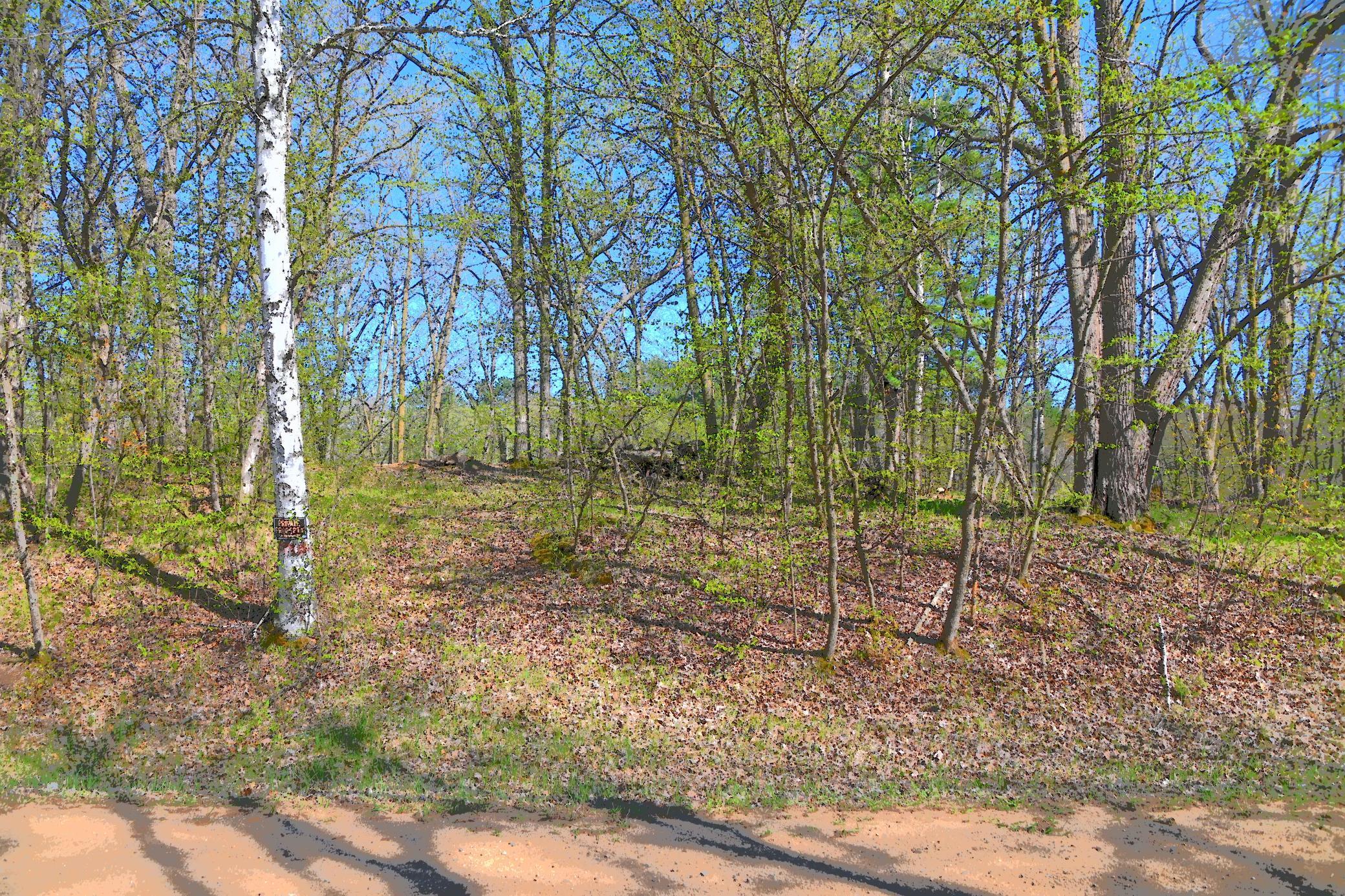 3 Pine Island Pt Drive, Browerville, Minnesota image 9