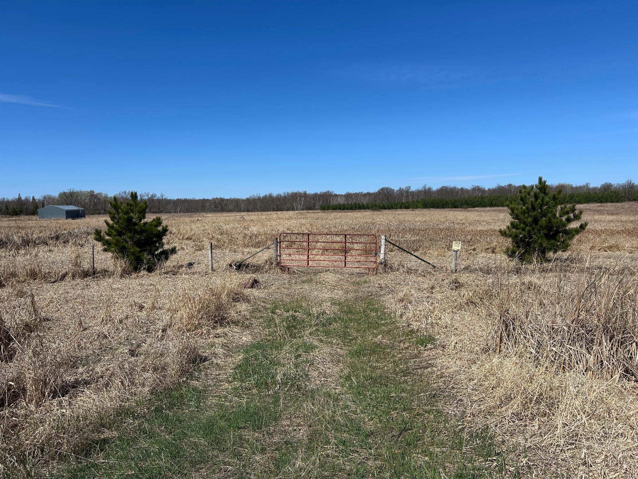 19XXX 310th Avenue, Isle, Minnesota image 4