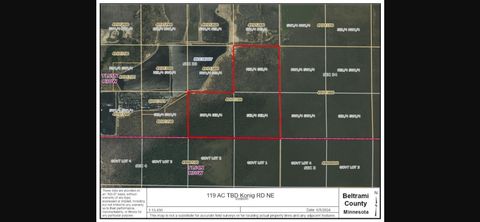 Vacant Land For Sale - TBD Konig Road<br/> Beltrami County, Waskish, MN 56685