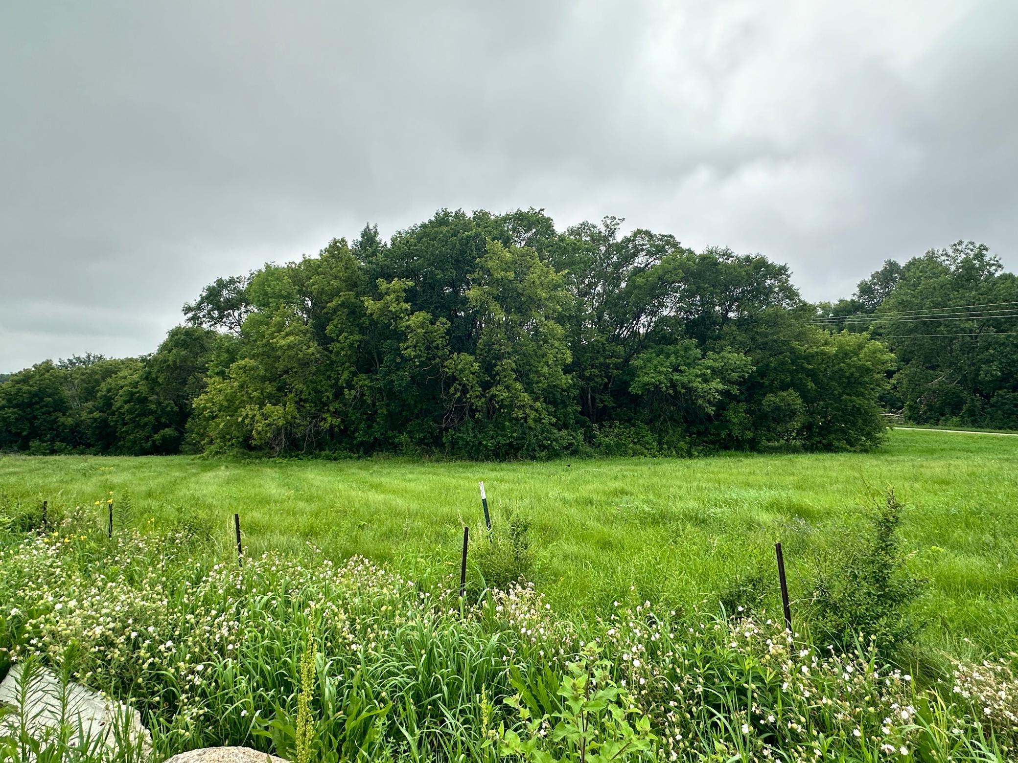 XXX County Road 43, Chaska, Minnesota image 8