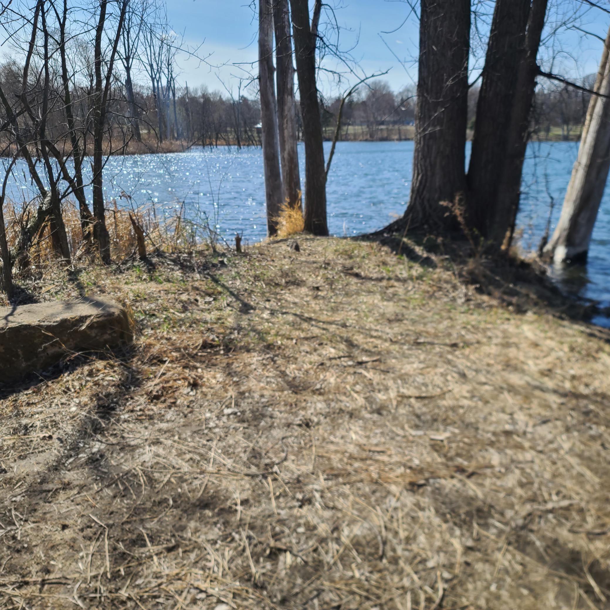 1104 Mackubin Street, Saint Paul, Minnesota image 6