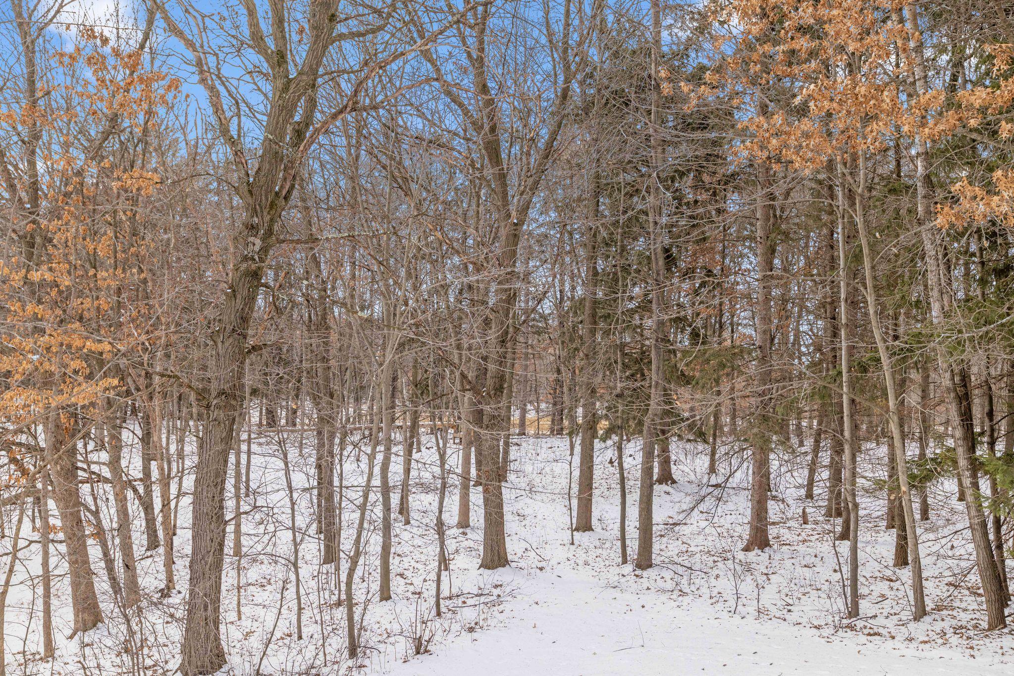 2230 Briarwood Lane, Cedar, Minnesota image 20