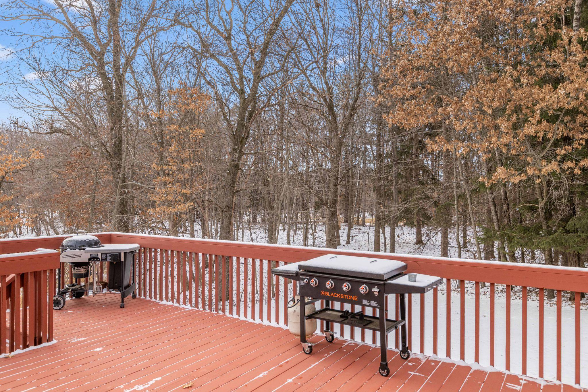 2230 Briarwood Lane, Cedar, Minnesota image 17