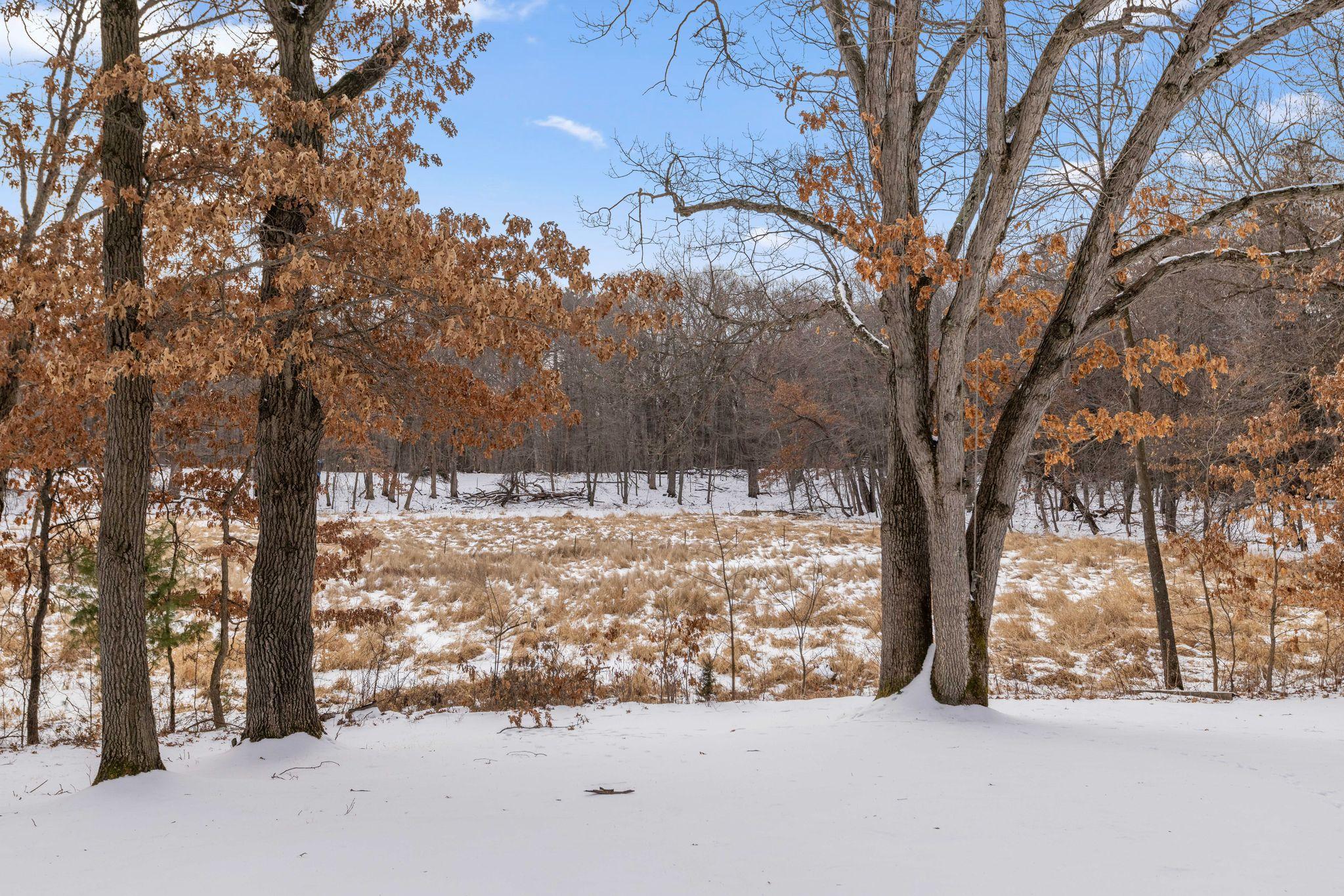2230 Briarwood Lane, Cedar, Minnesota image 18