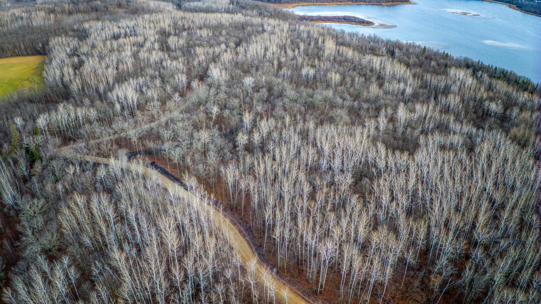 Parcel D Puposky Road, Bemidji, Minnesota image 18