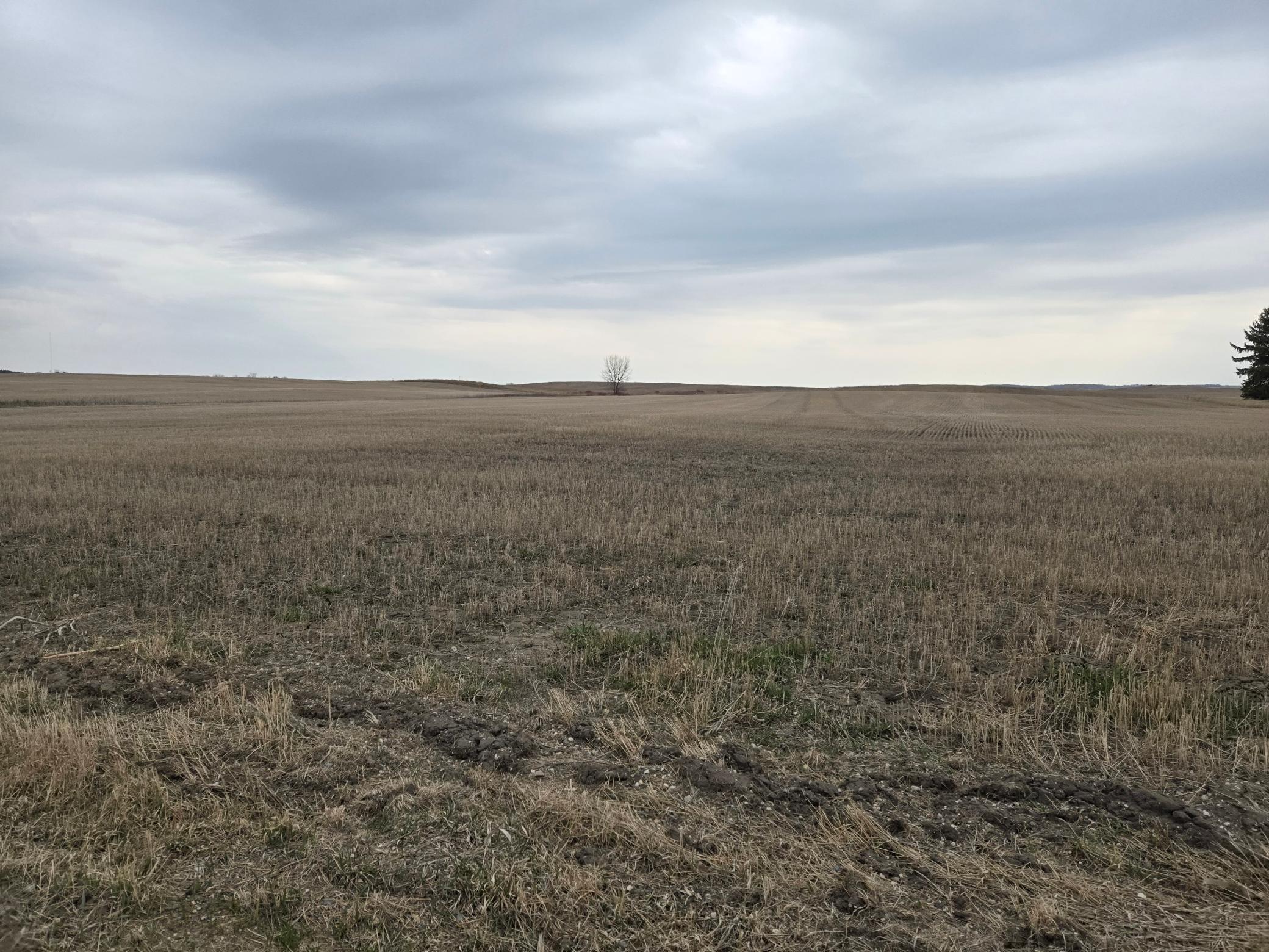 (LOT D) TBD 100th Avenue, Barnesville, Minnesota image 7