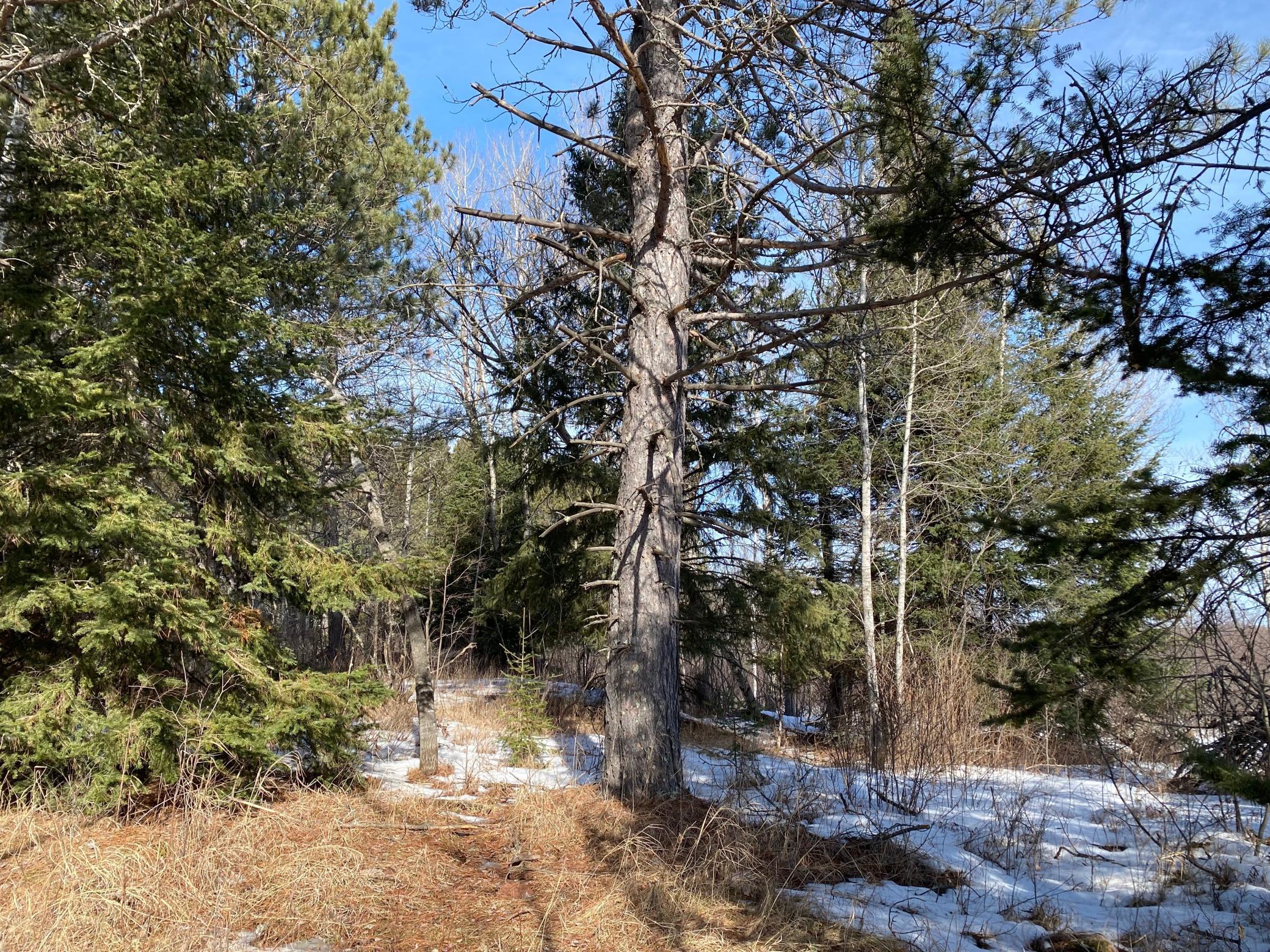 TBD Sherwood Anderson Rd., Britt, Minnesota image 30