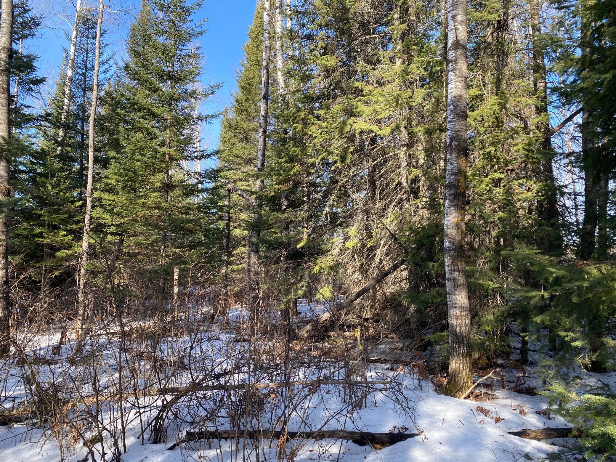 TBD Sherwood Anderson Rd., Britt, Minnesota image 12