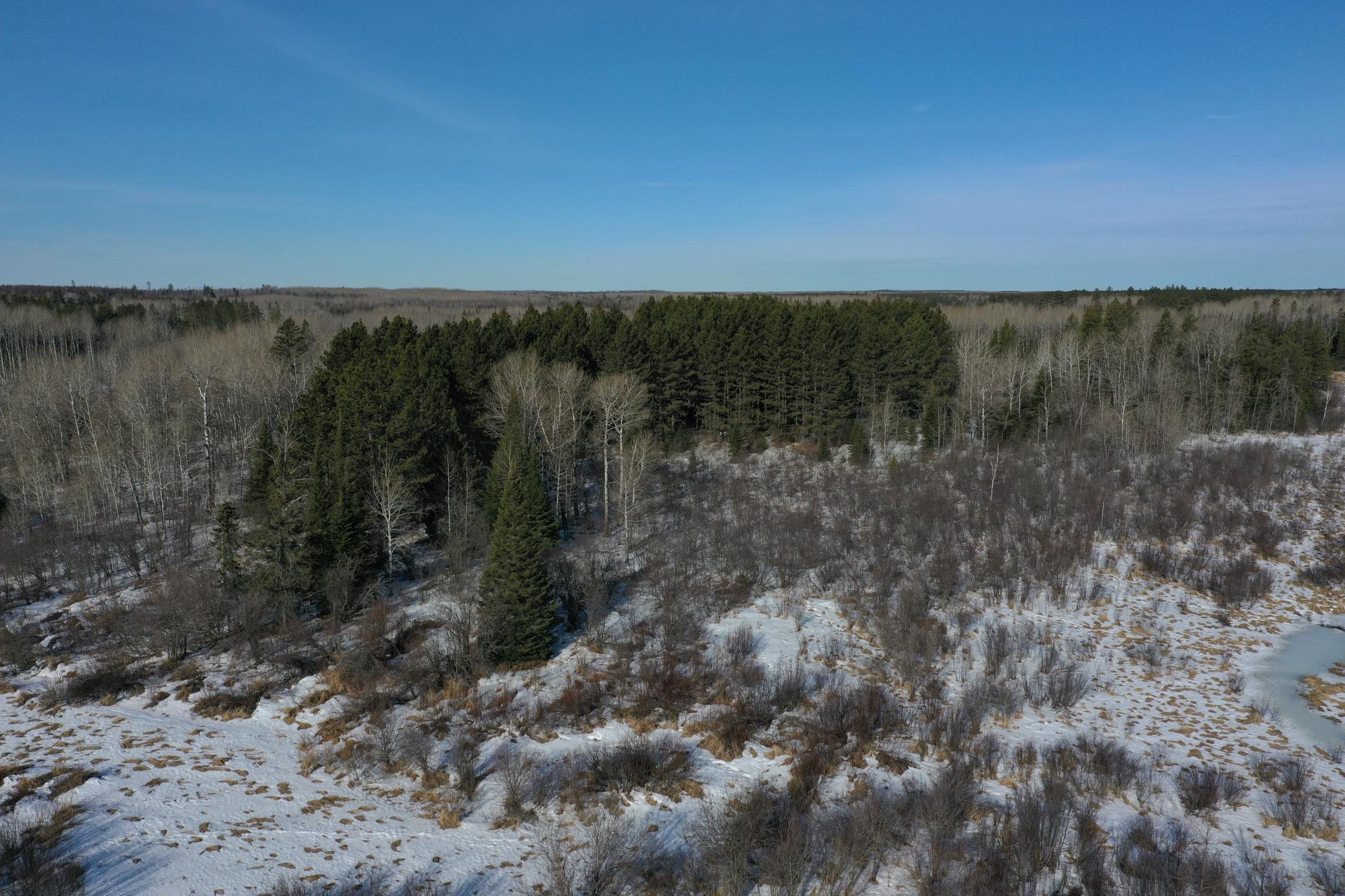 TBD Sherwood Anderson Rd., Britt, Minnesota image 6