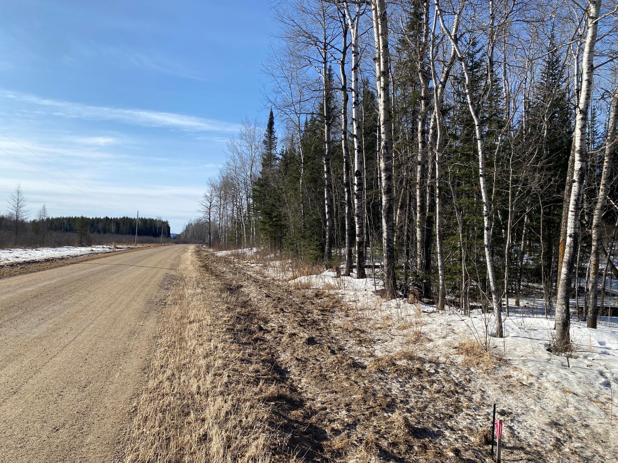 TBD Sherwood Anderson Rd., Britt, Minnesota image 8