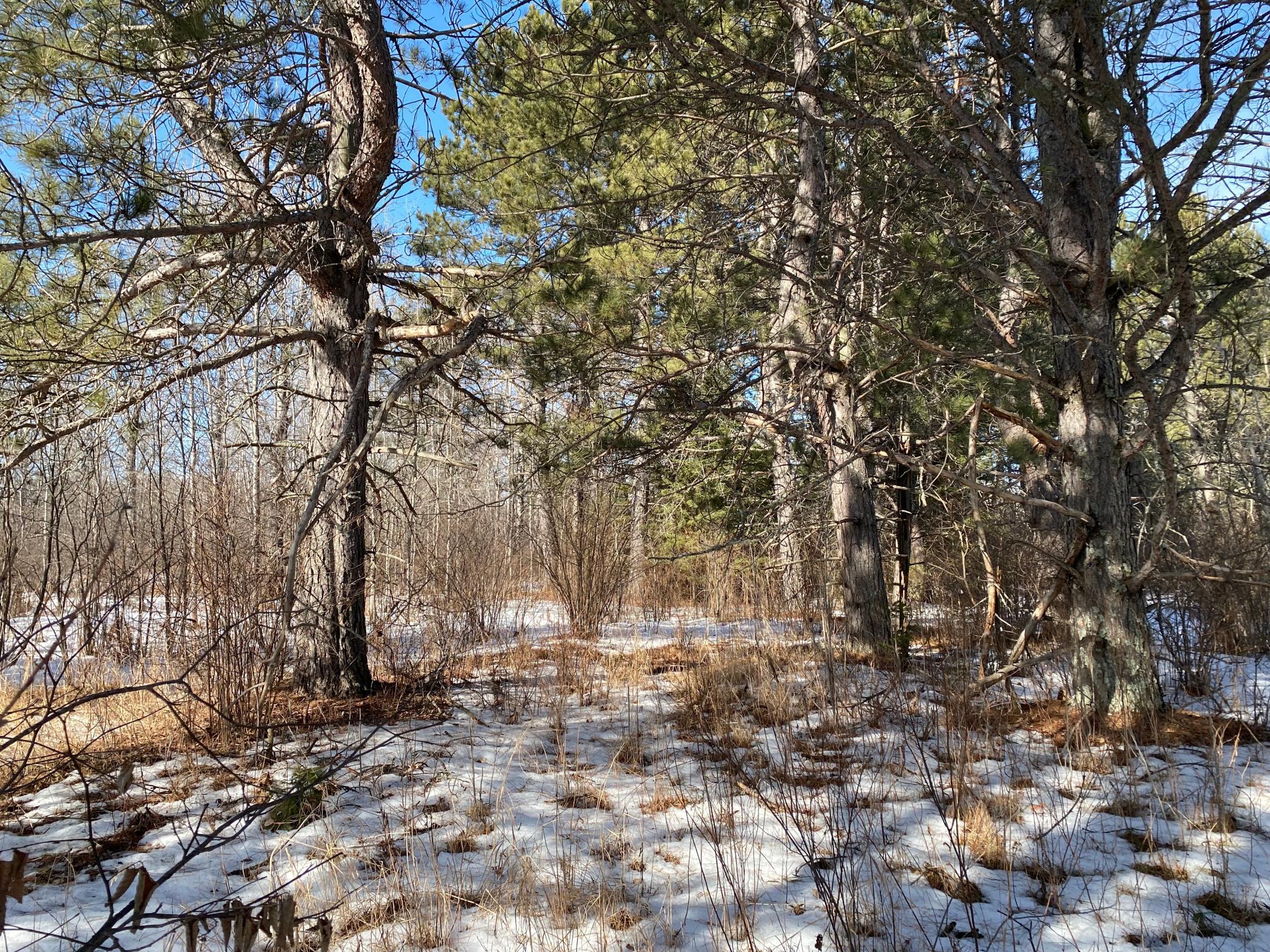 TBD Sherwood Anderson Rd., Britt, Minnesota image 32