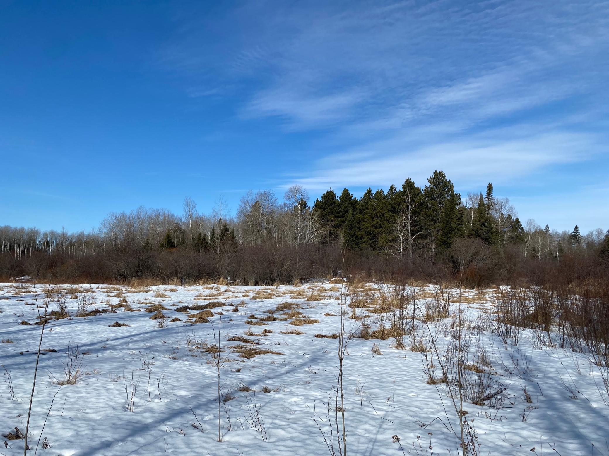 TBD Sherwood Anderson Rd., Britt, Minnesota image 26