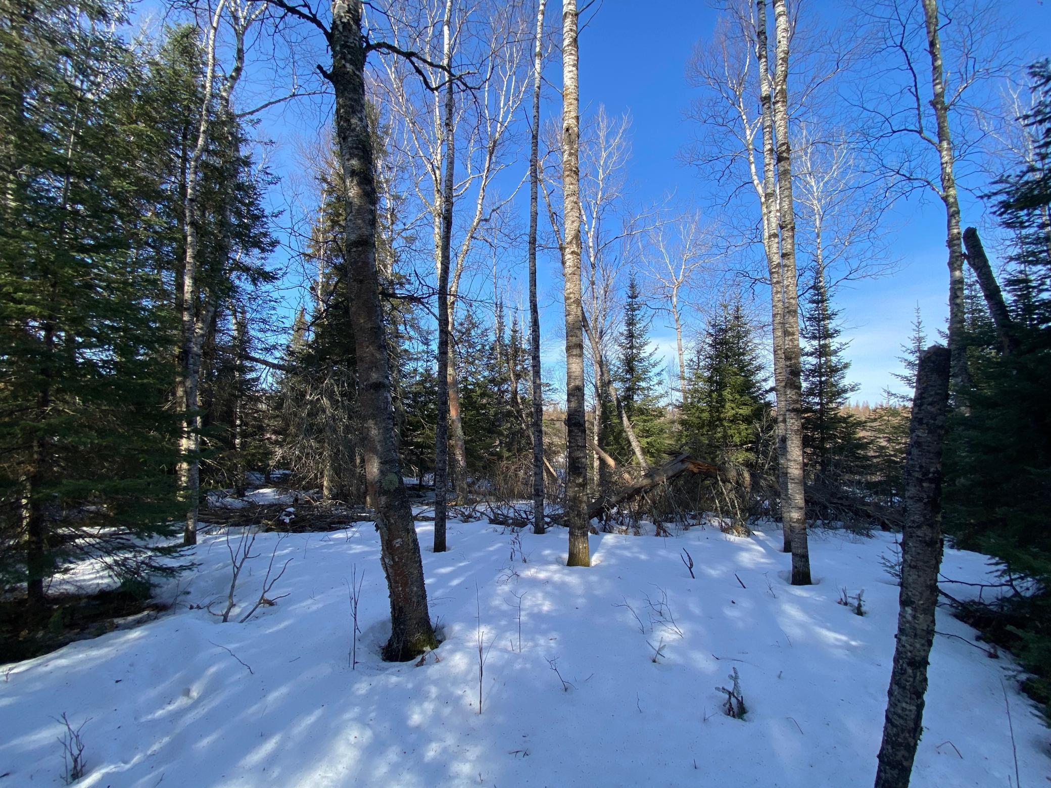 TBD Sherwood Anderson Rd., Britt, Minnesota image 16