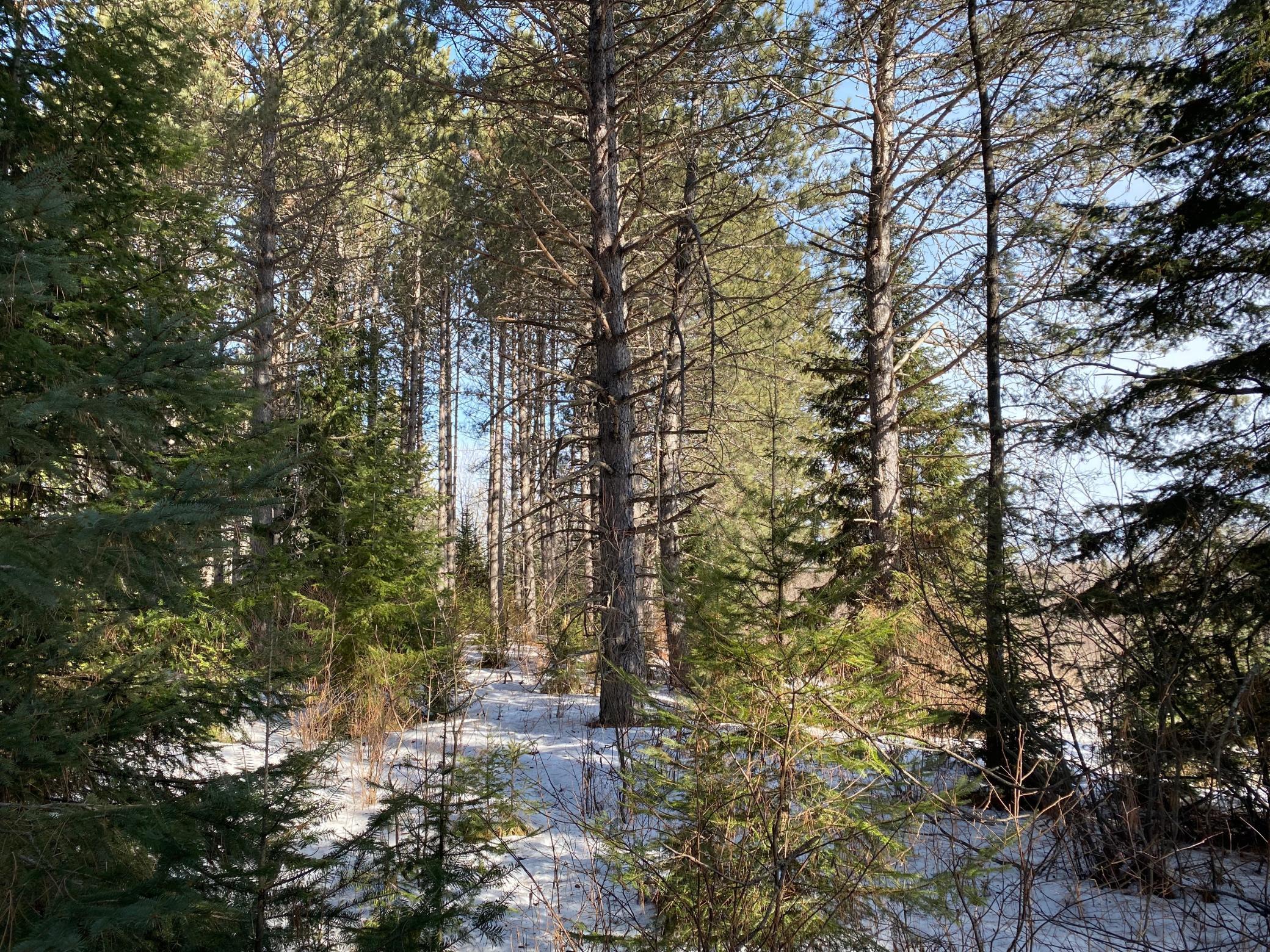TBD Sherwood Anderson Rd., Britt, Minnesota image 38