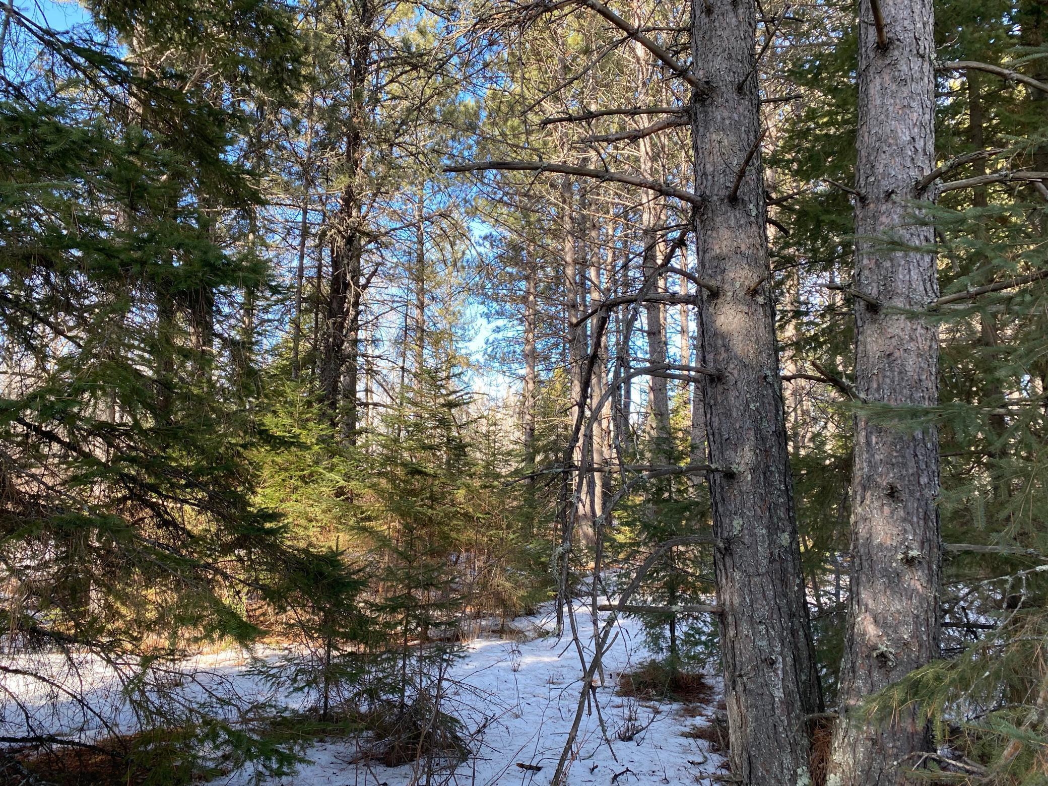 TBD Sherwood Anderson Rd., Britt, Minnesota image 39